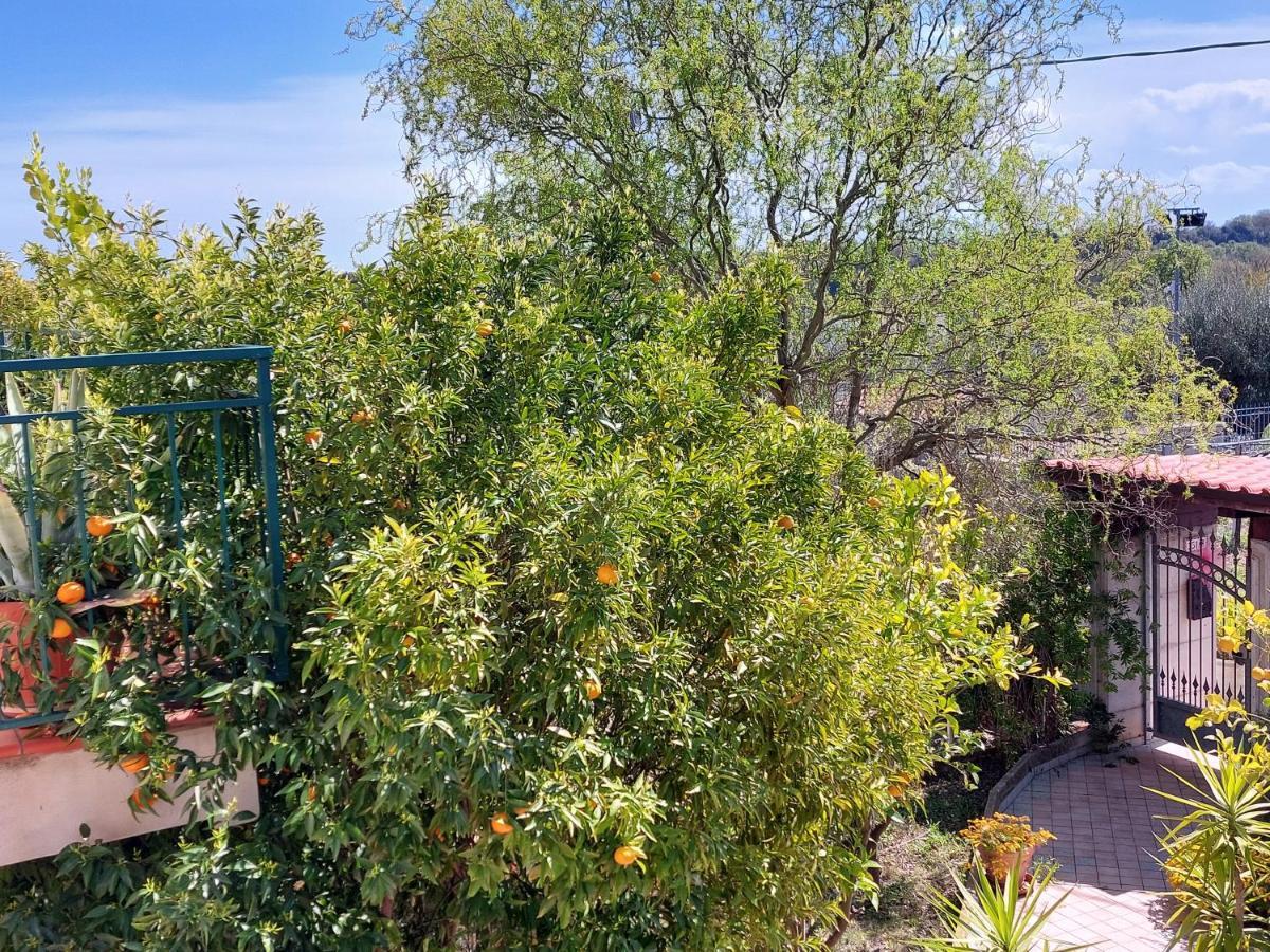B&B Villa Mia Lanciano Bagian luar foto