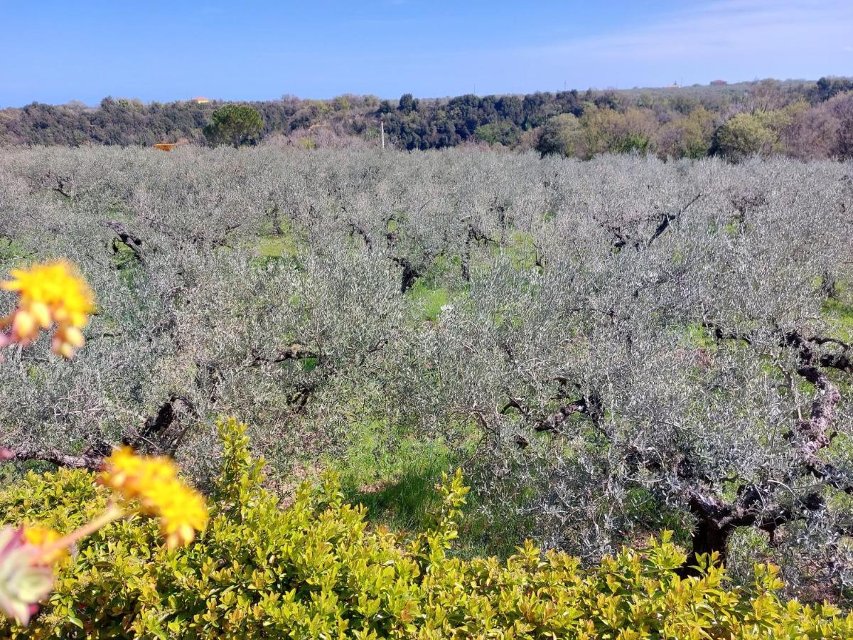 B&B Villa Mia Lanciano Bagian luar foto