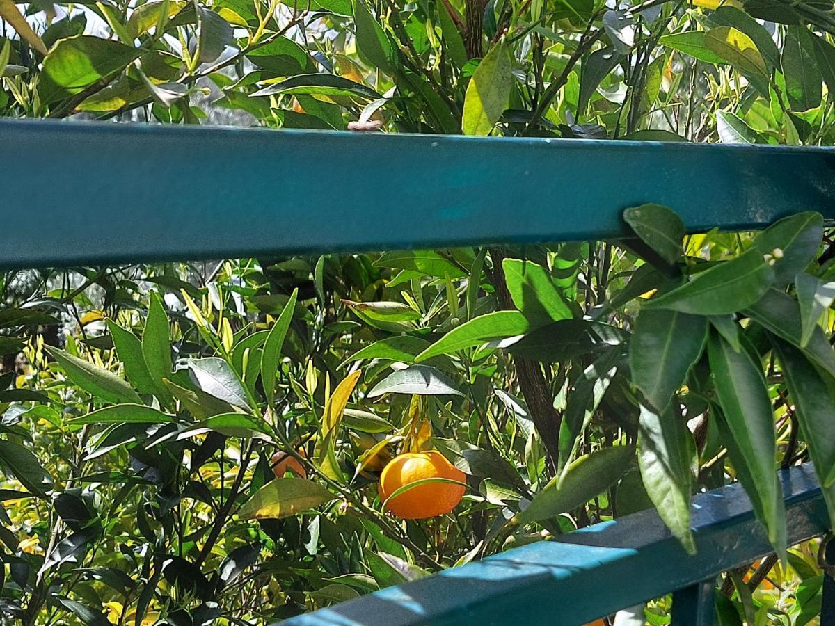 B&B Villa Mia Lanciano Bagian luar foto